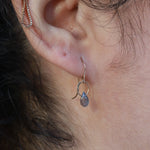 Extra Small Labradorite Single Drop Earrings EARRINGS 756A6853