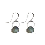 Labradorite Single Drop Earrings silver Earrings E2255LAB-silver